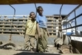 des enfants palestiniens travaillent（Staff: David Silverman / 2003 Getty Images）  