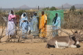 Des réfugiés au Soudan（Staff: THOMAS COEX / 2007 AFP）  