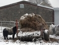 3 février 2013, Todmorden, Angleterre, vue générale de l’abattoir Peter Boddy, perquisitionné dans le cadre de l’enquête policière concernant la mise en circulation de viande chevaline pour de la viande bovine. (Christopher Furlong/Getty Images) 
