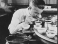 Selon les Archives nationales, le Conseil national des experts du thé s'est réuni chaque année de 1897 à 1996 pour établir des normes du thé importé. D'une manière semblable, les dégustateurs de nourriture pour animaux sont là pour créer des normes plus élevées. (Www.archives.gov)