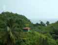 La République Dominicaine, reine de l’écotourisme de la région des Caraïbes, où s’épanouit une flore tropicale riche, dans un climat chaud et humide. (Drôles de dames)