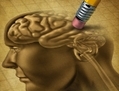 L'activité de l’hippocampe liée à des souvenirs particuliers. (Shutterstock)