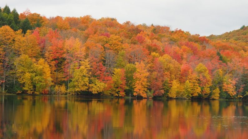 À l’automne, les nombreux feuillus autour du lac Gale enflamment le paysage (Nathalie Dieul/Epoch Times)