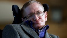 Les nouvelles technologies pourraient menacer la survie de l’humain, selon Stephen Hawking
