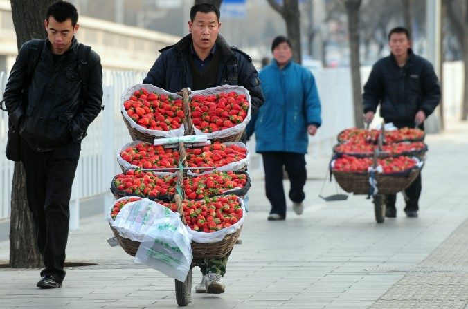 Des agriculteurs vendent leurs chariots de fraises qu’ils poussent dans une rue de Pékin, le 2 février 2010. (Frederic J. Brown / AFP / Getty Images)
