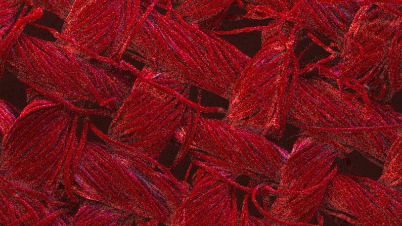 La couleur rouge indique la présence de nanoparticules d’argent – La photo montre que les nanostructures que l’équipe de RMIT a développées recouvrent toute la surface du tissu. Image agrandie 200 fois. (RMIT University)