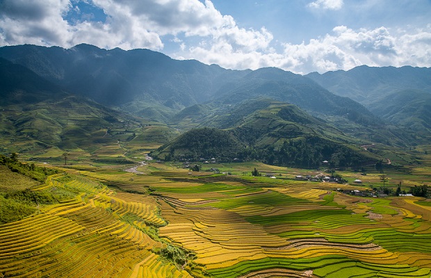Culture de riz en terrasses, Vietnam. (Hoang Giang Hai/Flickr)
