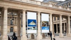 L’AFEX célèbre ses 20 ans d’existence et présente son exposition au Palais Royal à Paris
