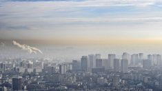 Le prix de la pollution en France