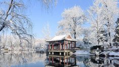 Dongzhi : les traditions chinoises du solstice d’hiver
