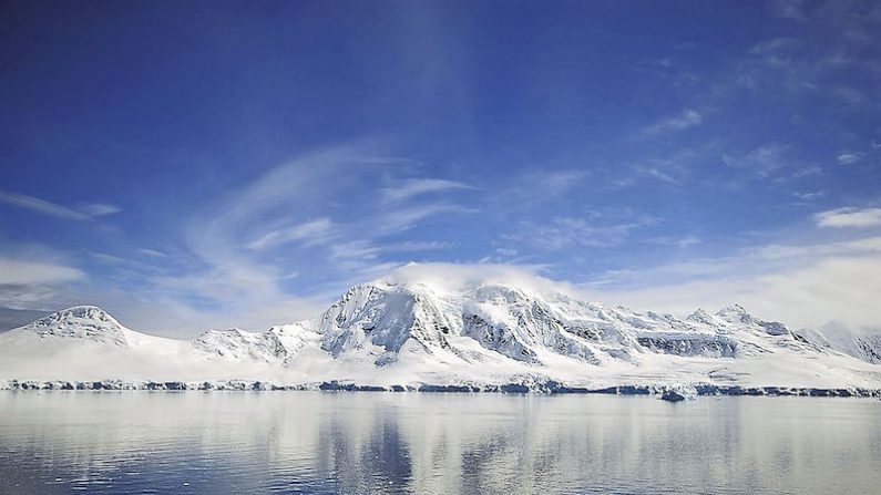 L’Antarctique : les sanctuaires marins sont vitaux pour protéger la biodiversité, reconstituer les stocks de poissons, augmenter la résilience face aux changements climatiques.(wikimedia)