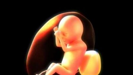 Le fœtus de 30 semaines développe déjà une mémoire à court terme, bébé, enfant, grossesse