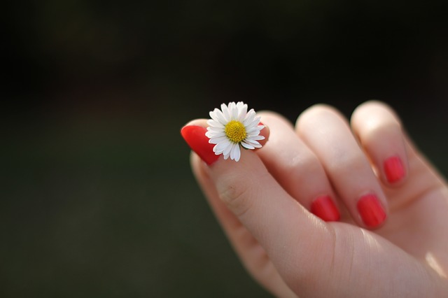Si vous voulez vous vernir les ongles, choisissez un vernis de qualité et posez une première couche avec une base pour nourrir l’ongle.  (Pixabay.com)