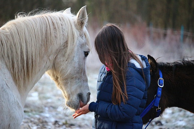 Il est extrêmement important d’être vrai et présent quand on est en contact avec le cheval. (rihaij/Pixabay)