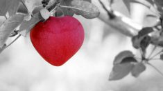 Les attentes d’un amour parfait et leurs conséquences sur la santé