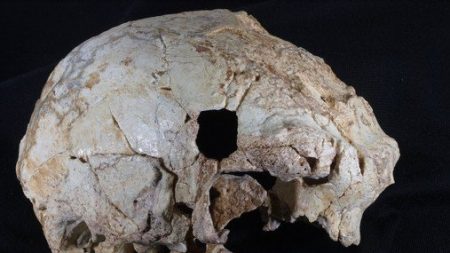 Un crâne humain âgé de 400 000 ans a été découvert au Portugal