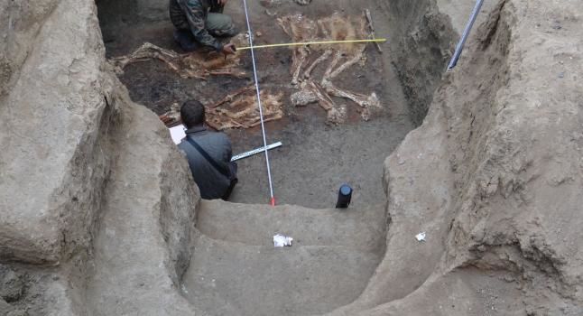 Squelettes dépassant les 210 cm, de plus de 4500 ans, découverts dans le Kouban (Russie)