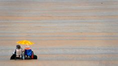 Canicule de juin : une vague de chaleur historique appelée à se répéter