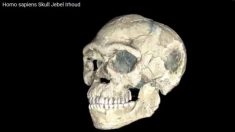 300 000 ans : l’Homo sapiens beaucoup plus ancien qu’on ne le pensait