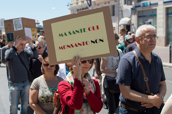 Une manifestante tient une pancarte disant "MA SANTÉ OUI, MONSANTO NON", lors d'une manifestation à Marseille. 
(BERTRAND LANGLOIS/AFP/Getty Images)