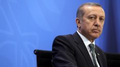 Erdogan visite le Qatar et promet une aide militaire à Doha