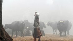 Pollution au Pakistan : malgré un léger mieux, il faut  « agir. Et maintenant. »