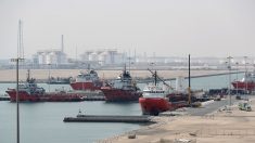 L’émir du Qatar se dit « mille fois mieux sans » les ex-alliés du Golfe