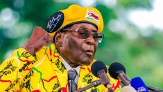 Zimbabwe : explosion de joie pour saluer la démission de Mugabe