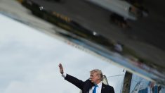 Trump rentre à la maison après un voyage « très réussi » en Asie