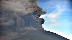 Bali : des dizaines de vols annulés à cause d’un volcan