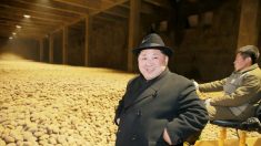 Kim Jong-un pourrait avoir des tunnels d’évasion vers la Chine