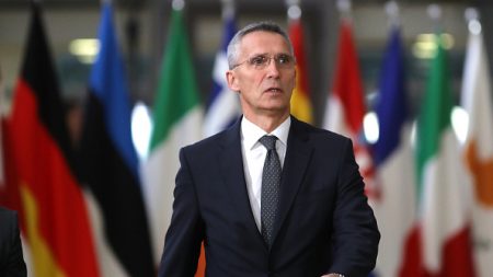L’OTAN « soutient » les frappes occidentales contre la Syrie