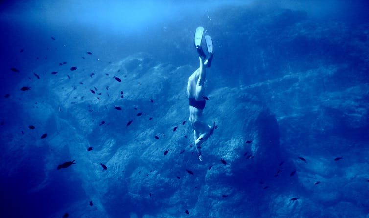 Comment le corps de ce nageur résiste t-il à la pression sous-marine ? (Marco Assmann/Unsplash, CC BY-SA)