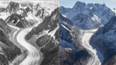 Ce qu’un siècle de changement climatique a fait au plus grand glacier français