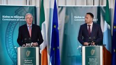 Frontière irlandaise : la proposition de Londres « ne convient pas » à l’UE