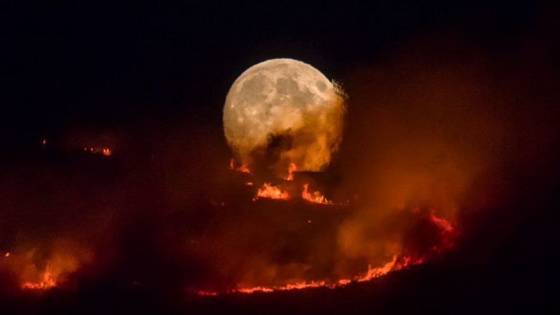 26 juin : La pleine lune se lève derrière la lande brûlante alors qu'un grand feu de forêt balaie les landes entre Dovestones et Buckton Vale à Stalybridge, dans le Grand Manchester. Photo par Anthony Devlin / Getty Images.