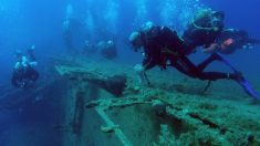 Le trésor découvert dans l’épave d’un navire français coulé au large de la Floride au 16e siècle sera rendu à la France