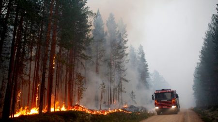 Important incendie de forêt en Lettonie