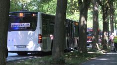 Attaque dans un bus en Allemagne : l’assaillant arrêté, pas de morts