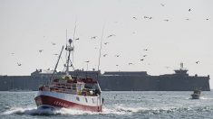 Un bateau de pêche espagnol coule au large de l’Argentine: un mort et un disparu (marine)