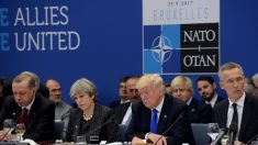 Trump rassure les Alliés: « Je crois en l’Otan »