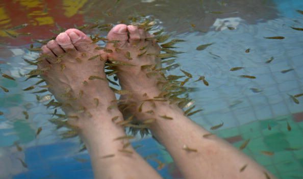 Après une «fish pédicure», une jeune américaine perd six ongles de pied