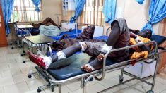 Niger: dix « terroristes » de Boko Haram tués dans le sud-est (armée)