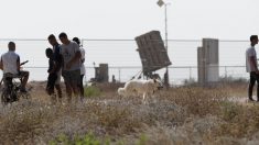 Gaza/Israël: calme fragile après la pire confrontation armée depuis 2014