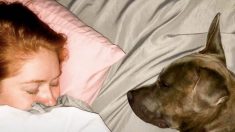 Une femme souffrant de 15 maladies adopte un chien avec les mêmes problèmes