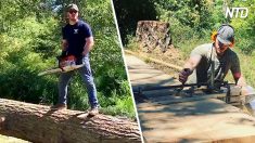 L’acteur Chris Pratt montre ce qu’est un vrai homme selon lui lors d’une séance d’abattage d’arbres sur un post Instagram