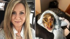 Une femme albertaine trouve un écureuil aux dents anormalement longues et lui tend un piège pour lui sauver la vie