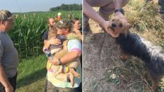 Une fillette de 3 ans perdue dans un champ de maïs. Un chien loyal reste à ses côtés jusqu’à l’arrivée des secouristes