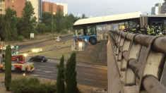 Madrid : Un bus suspendu dans le vide au-dessus d’un pont après un accident