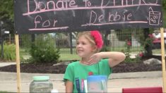 Une gentille fille passe l’été à vendre de la limonade pour aider une amie atteinte du cancer à acheter une perruque